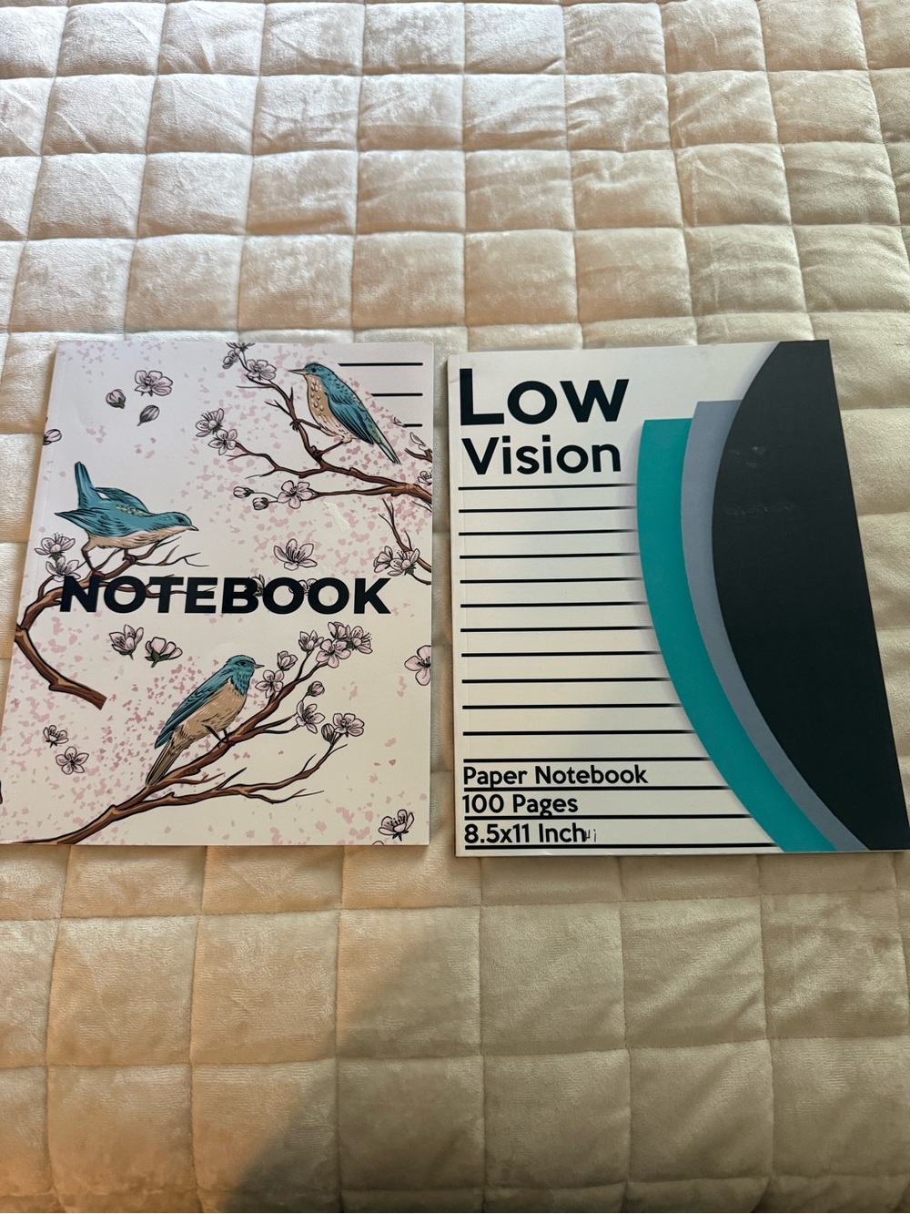 LOW VISION Bold Paper Notebooks Lot of 2  NWT